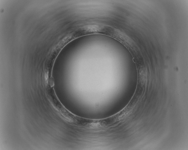 X0000073700406200608031219