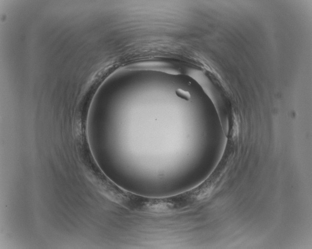 X0000073700407200608031219