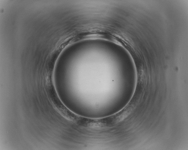 X0000073700408200608031219