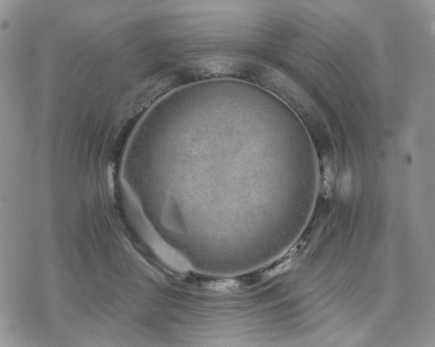 X0000073700410200608031219