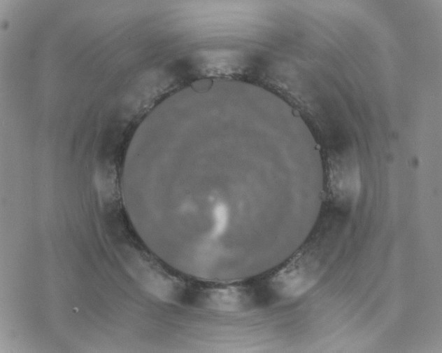 X0000073700411200608031219