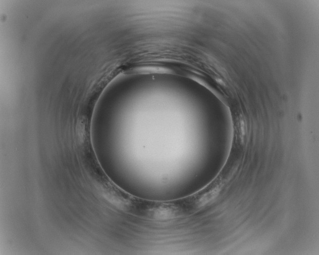 X0000073700412200608031219