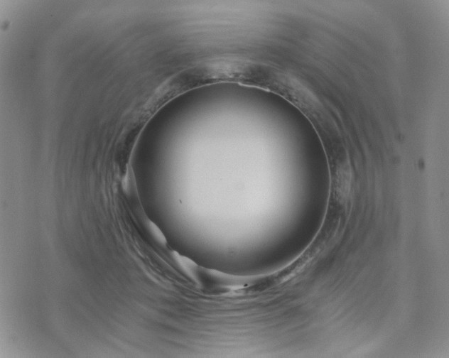 X0000073700413200608031219