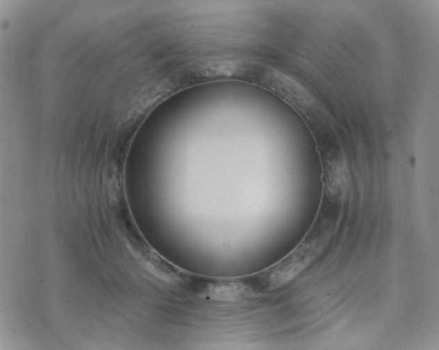 X0000073700414200608031219