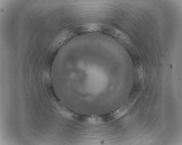 X0000073700415200608031219