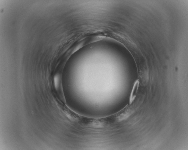 X0000073700416200608031219