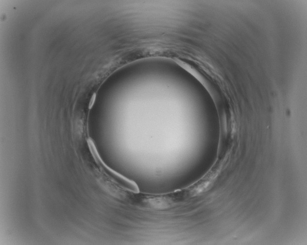 X0000073700417200608031219