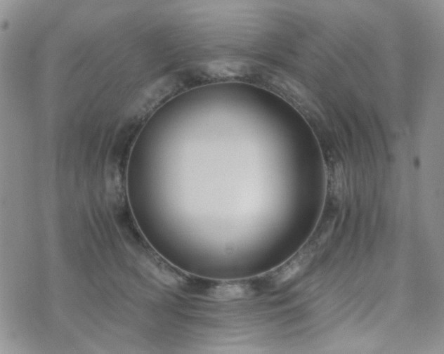 X0000073700418200608031219