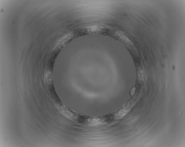 X0000073700419200608031219