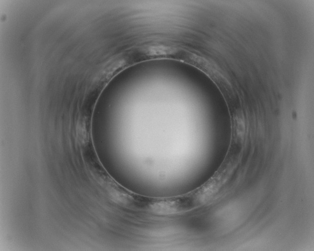 X0000073700422200608031219