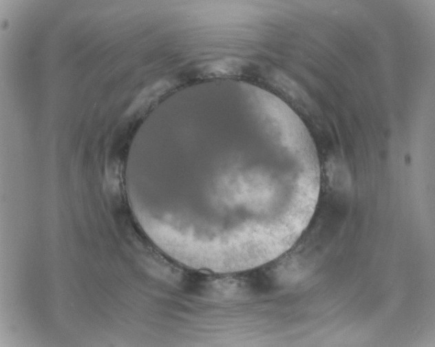 X0000073700423200608031219