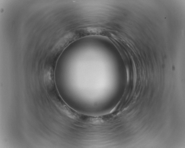 X0000073700424200608031219