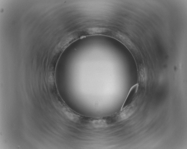 X0000073700426200608031219