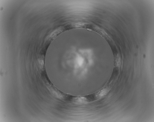 X0000073700427200608031219