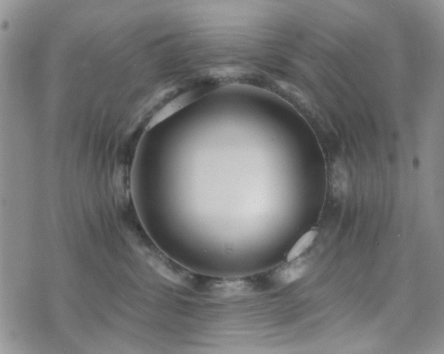 X0000073700428200608031219