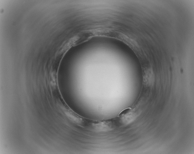 X0000073700430200608031219