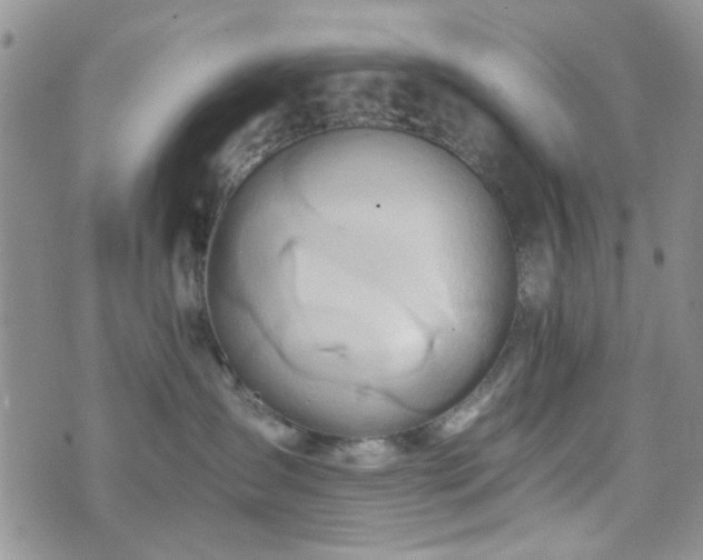 X0000073700431200608031219