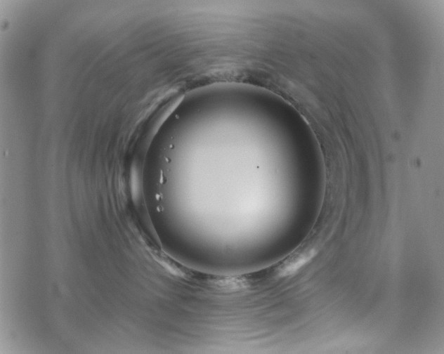 X0000073700432200608031219