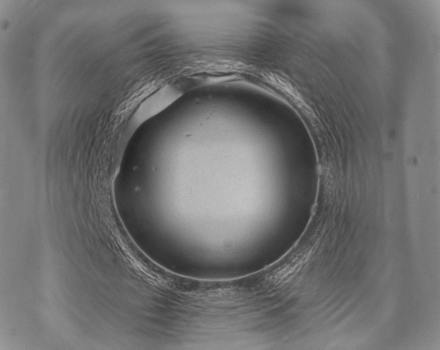 X0000073700433200608031218