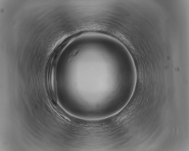 X0000073700434200608031218