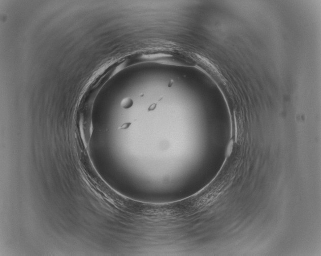 X0000073700435200608031218