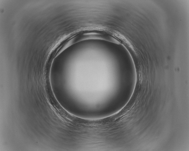 X0000073700436200608031218