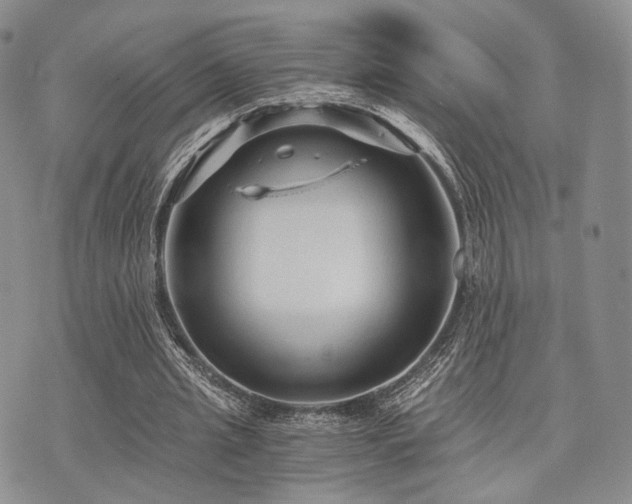 X0000073700437200608031218