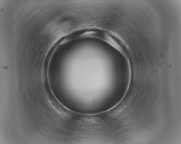 X0000073700439200608031218