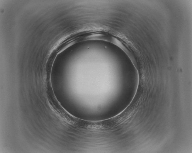 X0000073700440200608031218