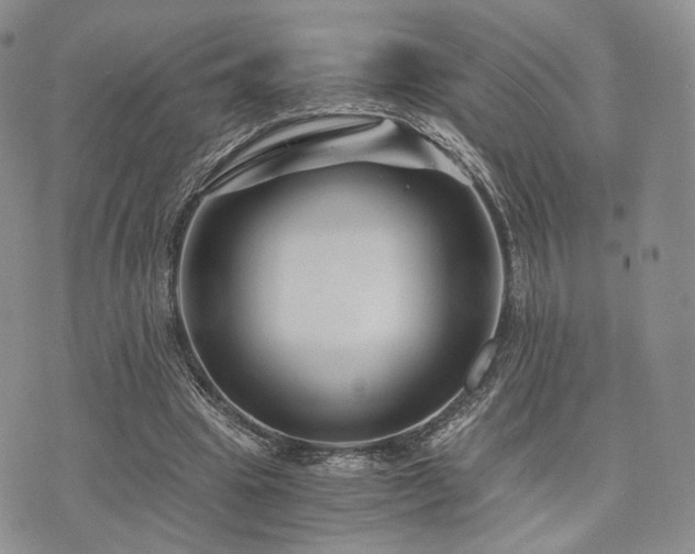 X0000073700441200608031218