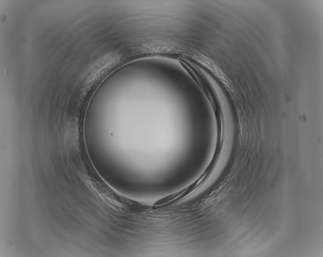 X0000073700442200608031218