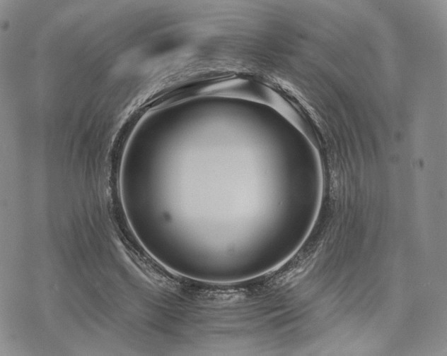 X0000073700443200608031218