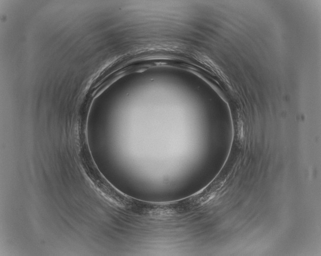 X0000073700444200608031218