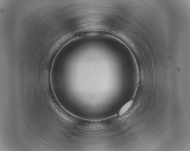 X0000073700445200608031218