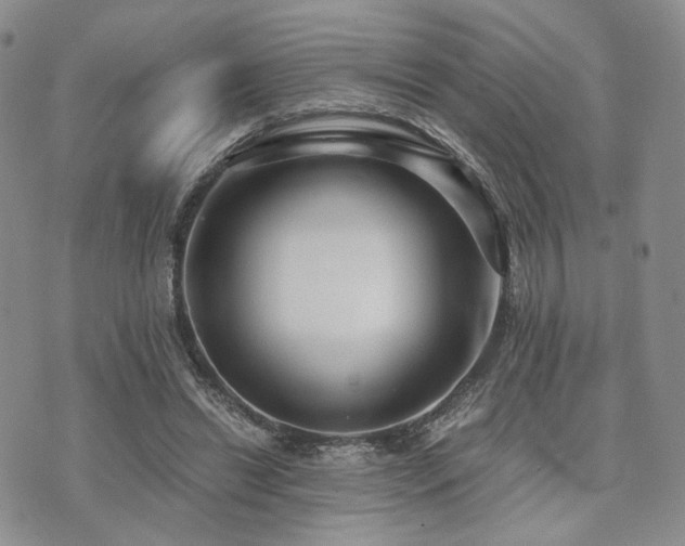 X0000073700446200608031218