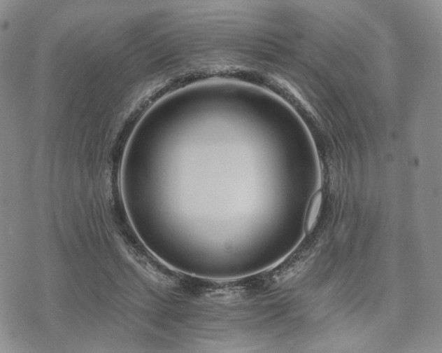 X0000073700447200608031218