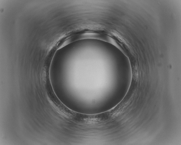 X0000073700448200608031218