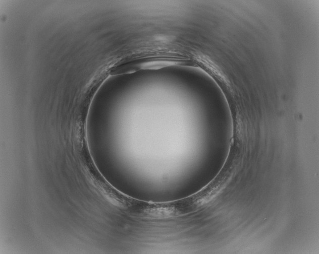 X0000073700449200608031218