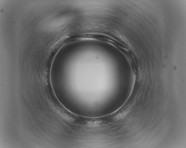 X0000073700450200608031218