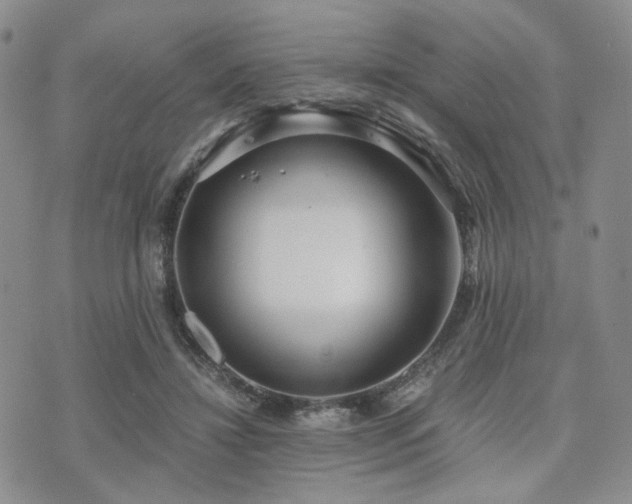 X0000073700452200608031219