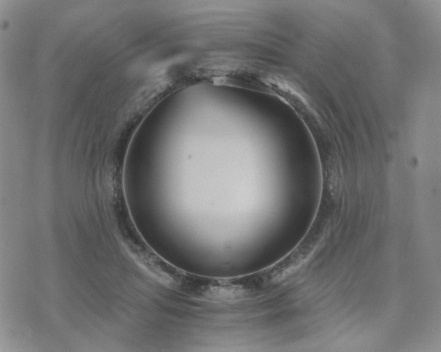 X0000073700455200608031219