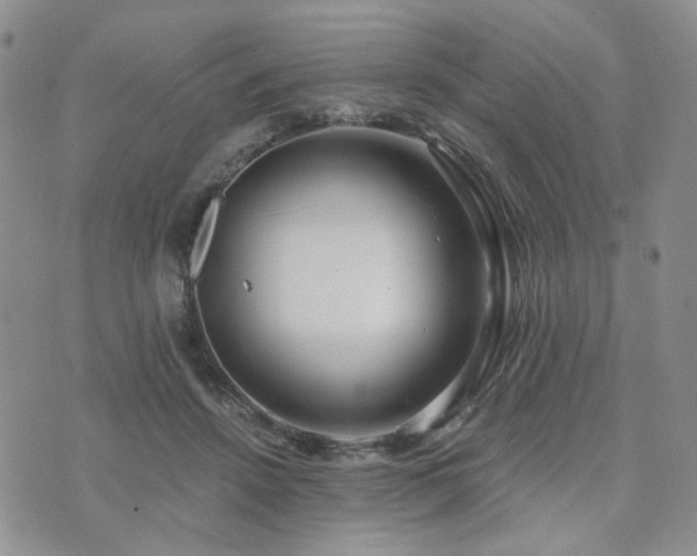 X0000073700456200608031219