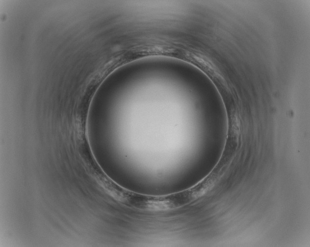 X0000073700457200608031219