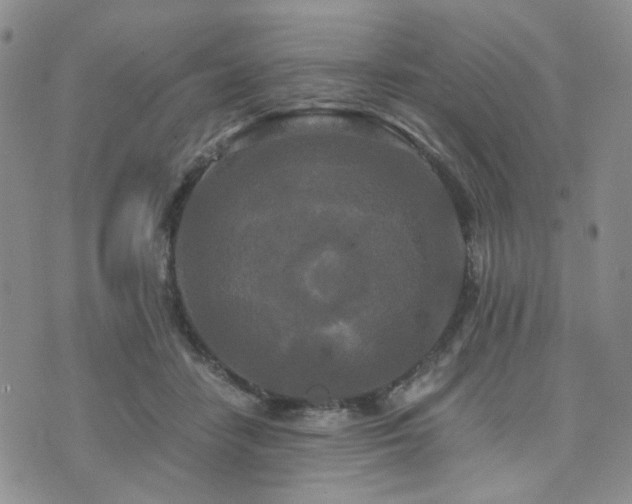 X0000073700458200608031219