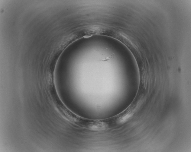 X0000073700459200608031219