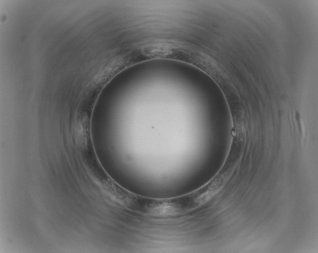 X0000073700460200608031219