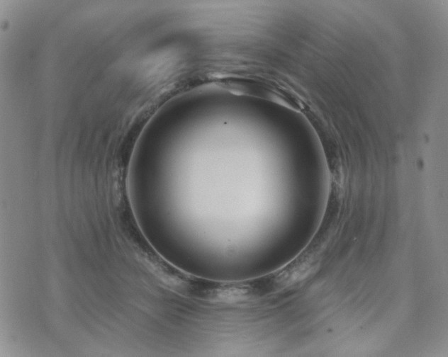 X0000073700462200608031219