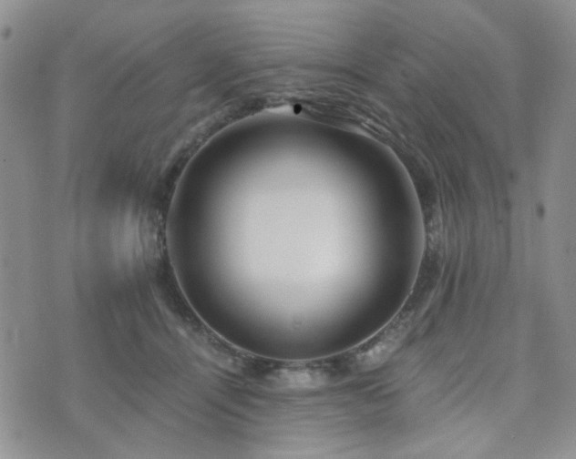 X0000073700464200608031219