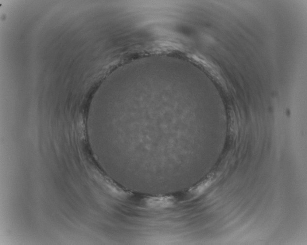 X0000073700465200608031219