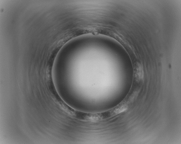 X0000073700466200608031219